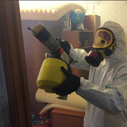 Уничтожение клопов в квартире. Кедровый